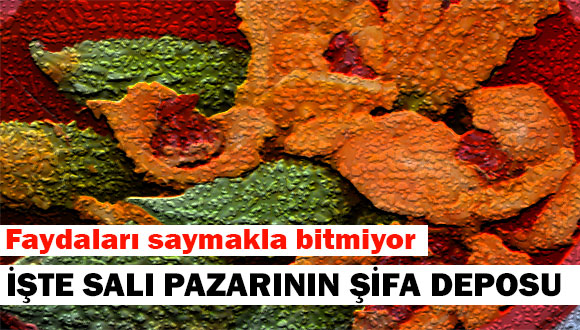 Salı Pazarının Şifa Deposu