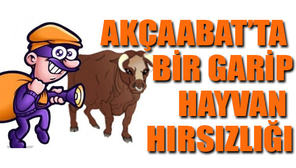 Akçaabat’ta Bir Garip Hırsızlık Olayı