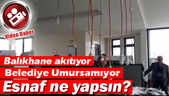 Yağmur Yağdı, Çile Başladı