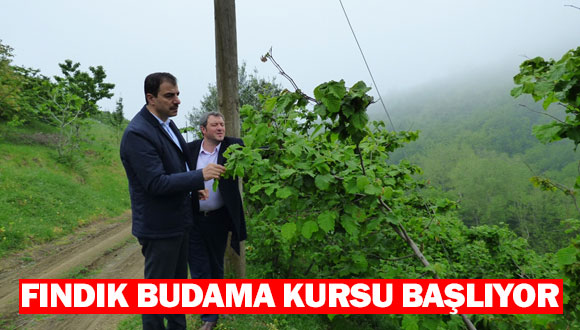 Fındık Budama Kursu Başlıyor