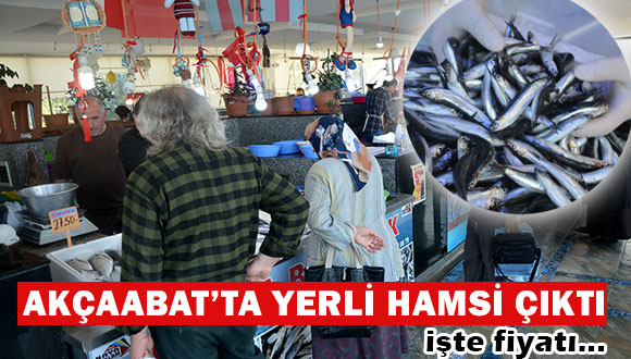 Yerli Hamsi çıktı! İşte Fiyatı…